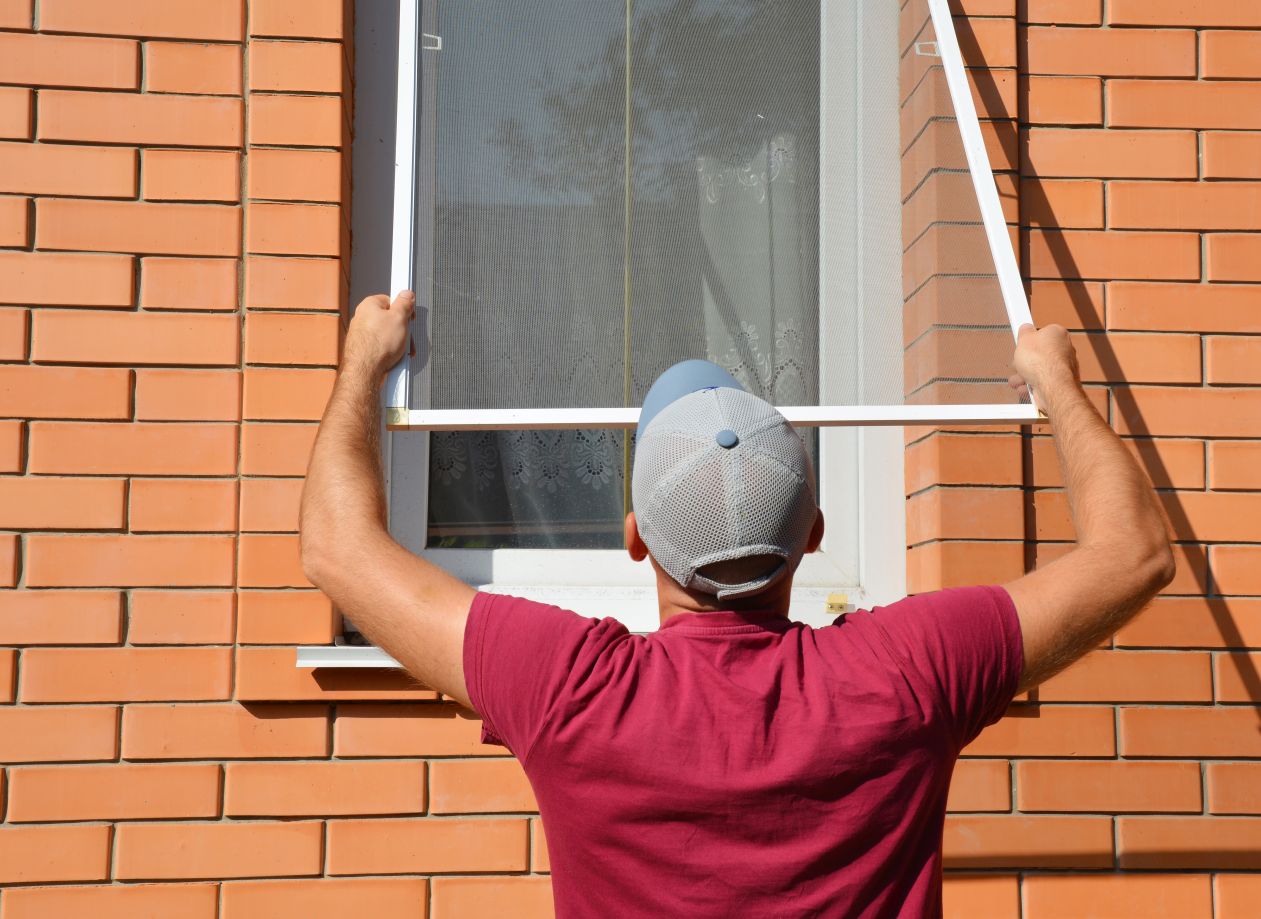 replacement window screens near st petersburg fl